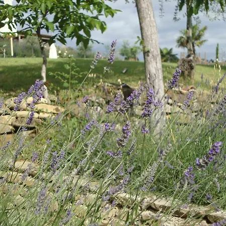 Antico Borgo Ανκόνα